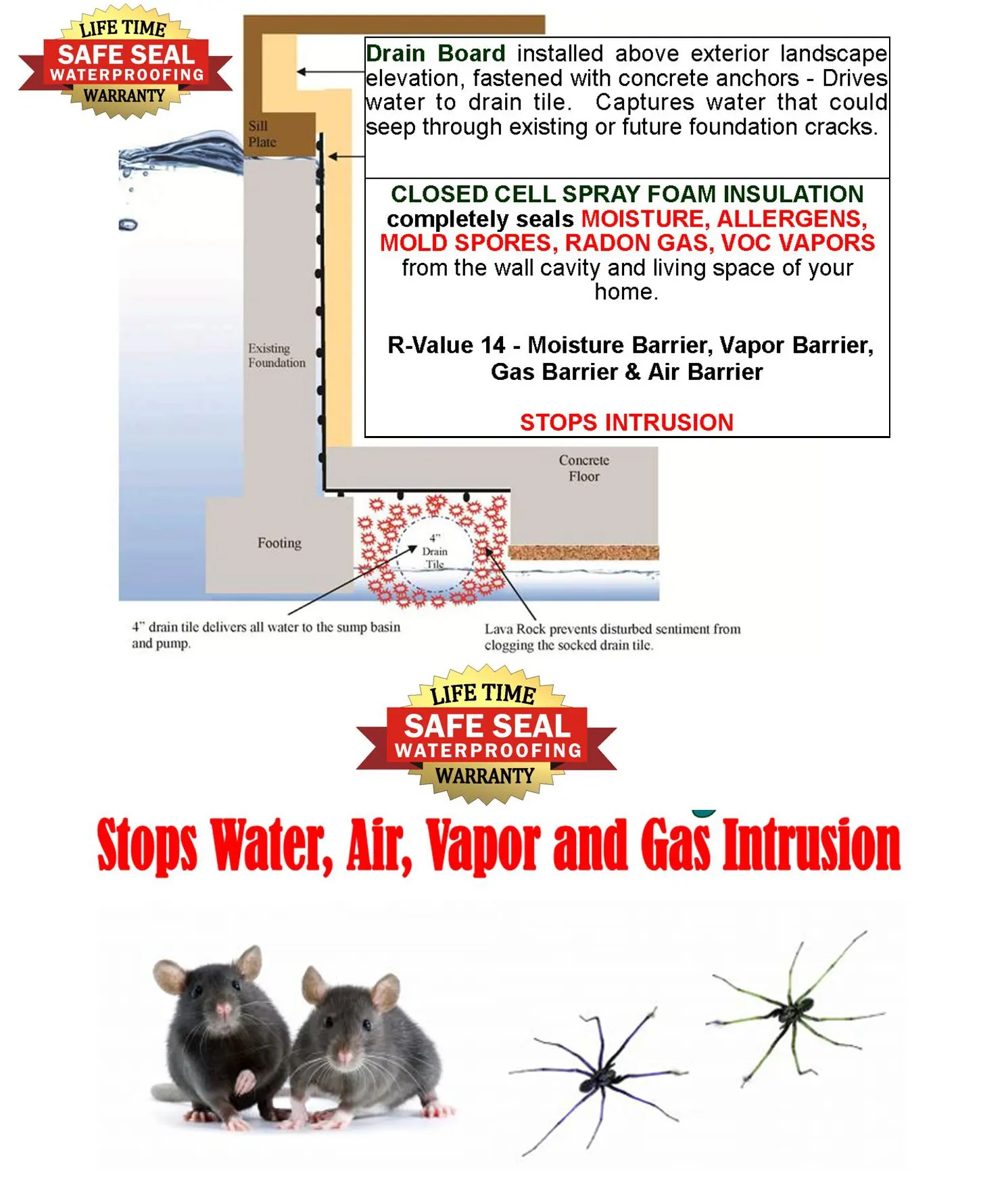crawl space drainage system