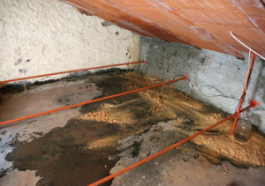 tips for summer basement care