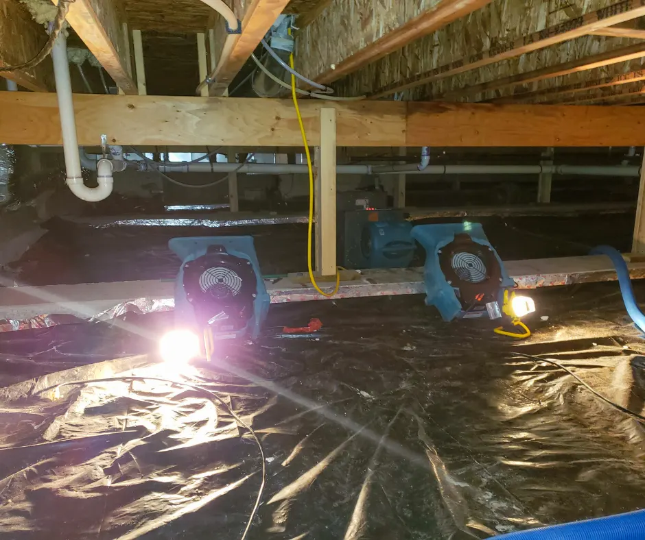 encapsulation crawl space