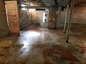 basement bare type