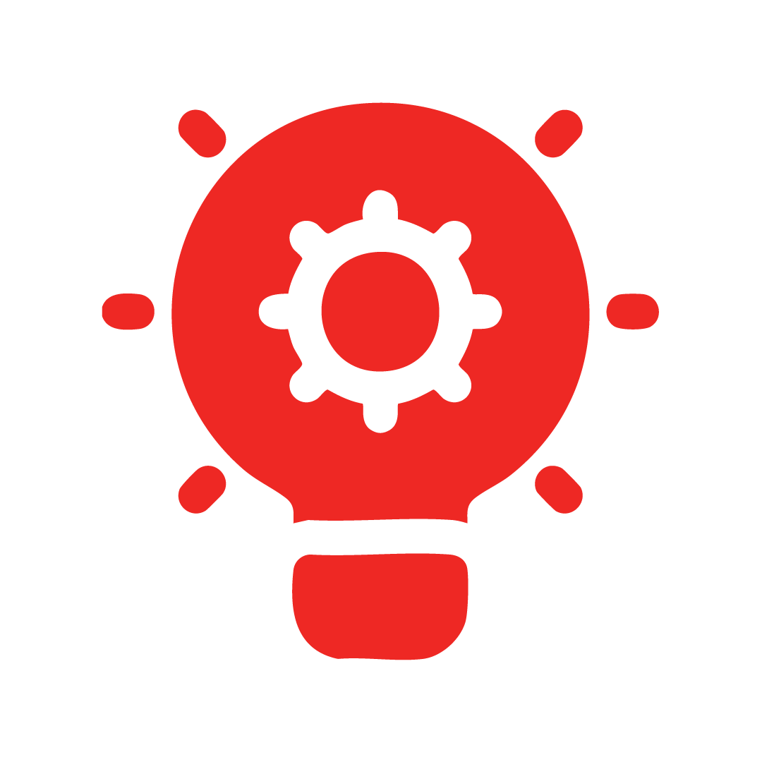 Costumized Solution